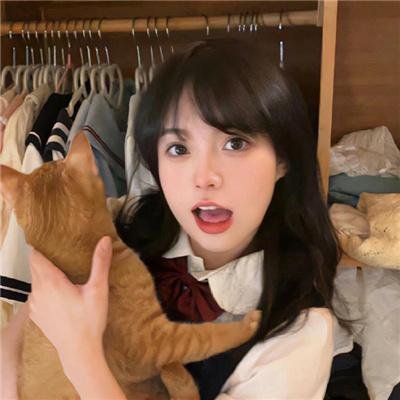 战地花开