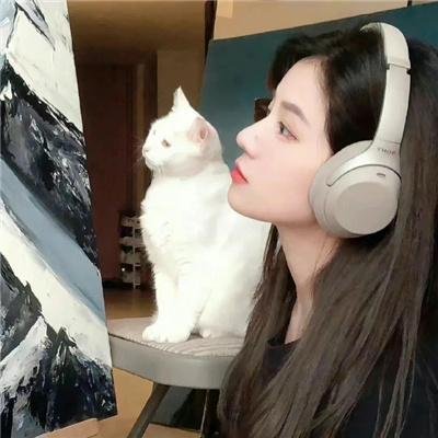肢解迷情